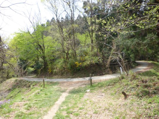 奈良沢峠